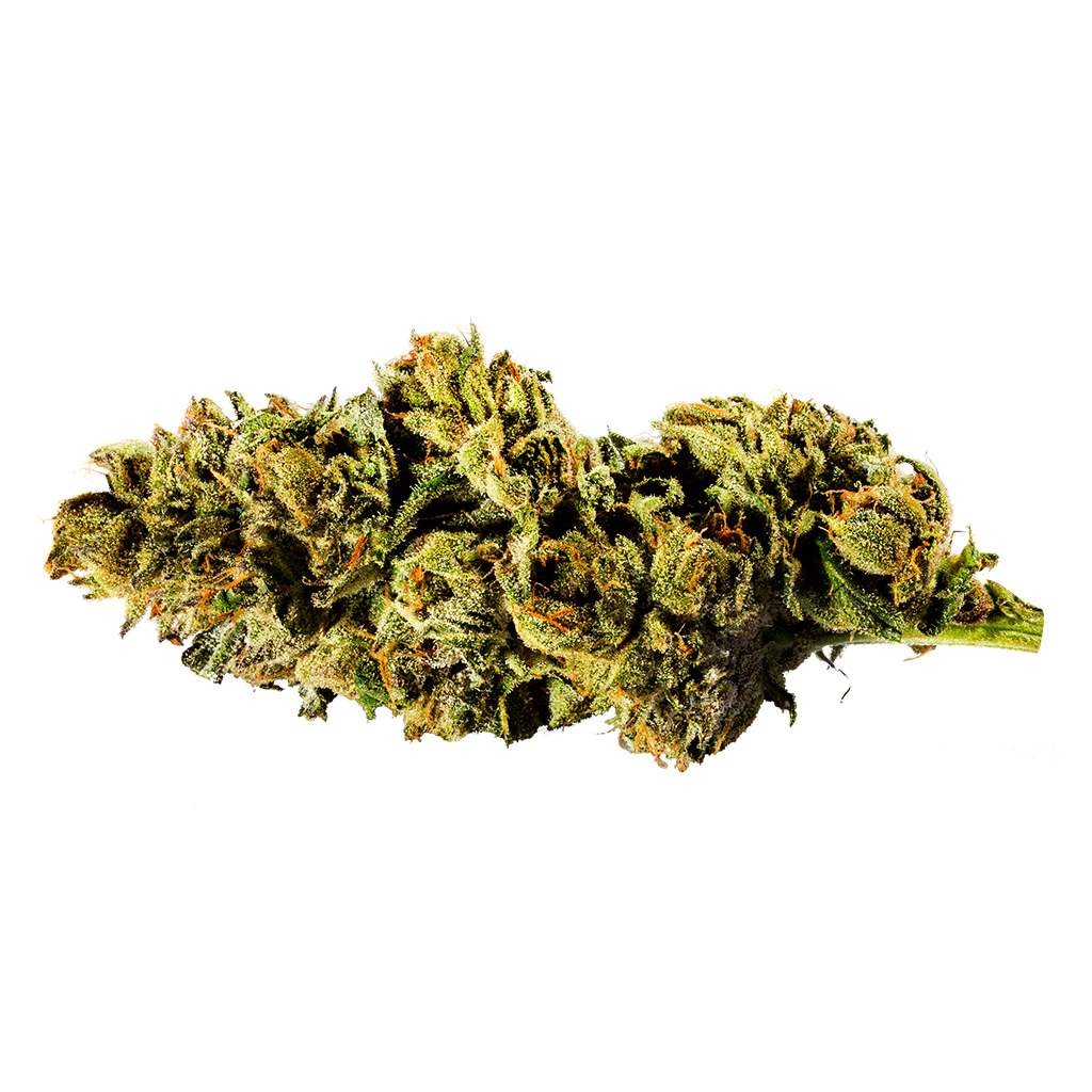 Redecan Mint Chip Gelato Flower - Redecan Mint Chip Gelato 1g Dried Flower